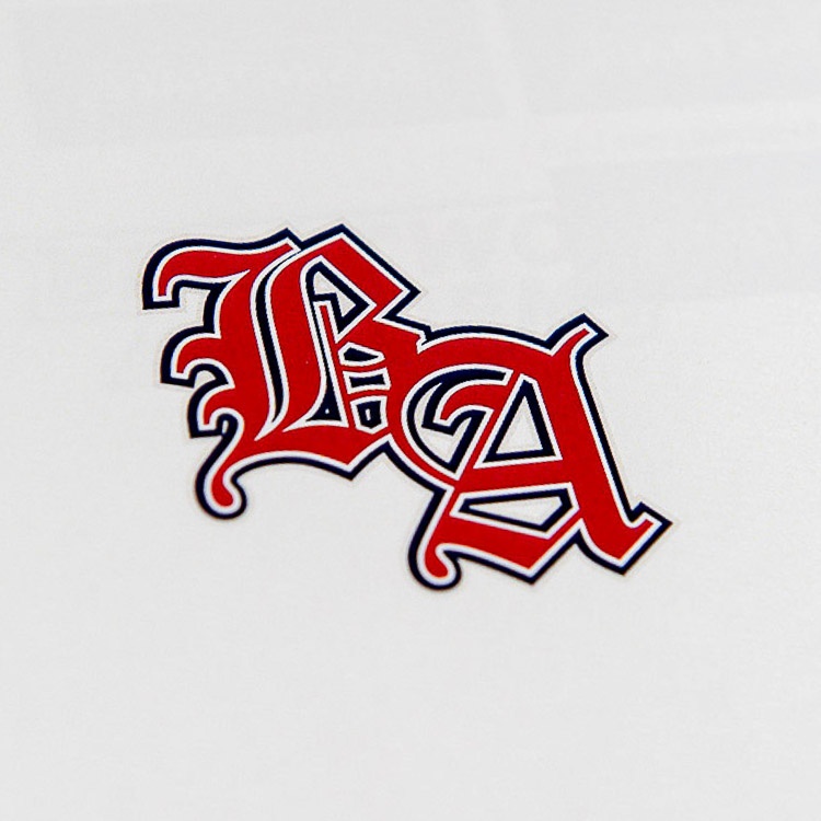 Phillips Printing Portfolio-Brentwood Academy Brand Standard Guide